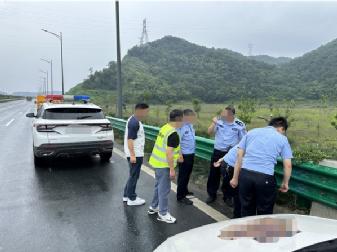 某高速公路约10公里电缆被盗